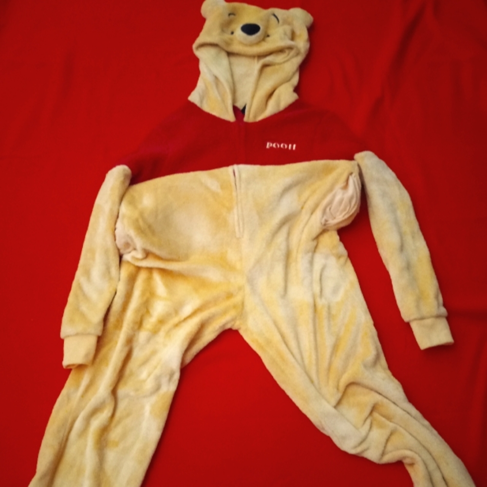 Adult Winnie the pooh zip up jumpsuit